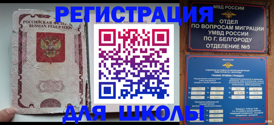 прописка гарантия в Светогорске